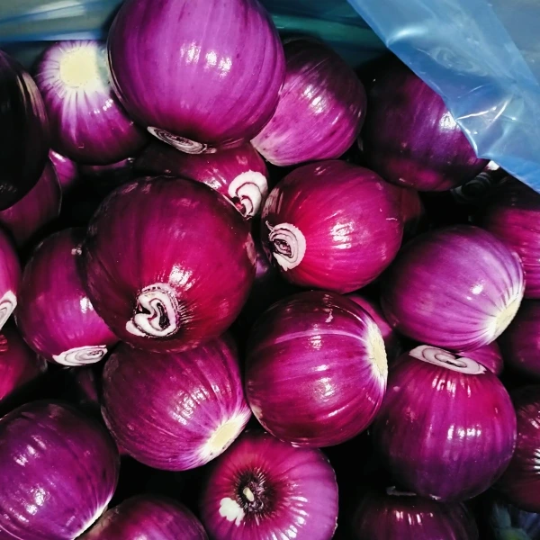 Huaang Food Processing Gains Market Share with Stable Quality