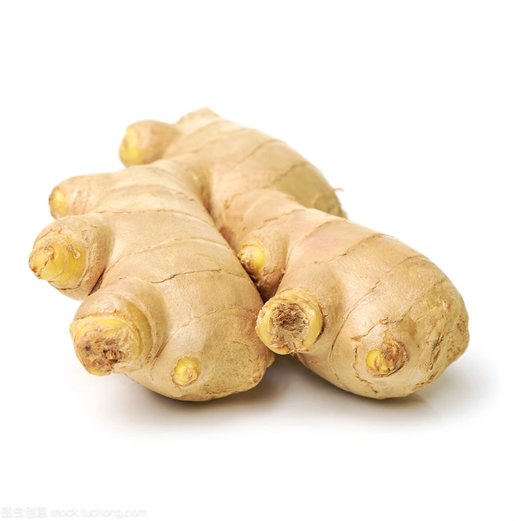 Vim li cas Premium Fresh Ginger yog qhov kev xaiv zoo rau cov neeg yuav khoom zoo?