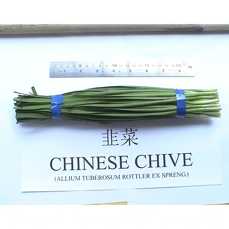 Vim li cas Kev Ua Liaj Ua Teb Tshiab Suav Chives Siv dav hauv Asian Cuisine?