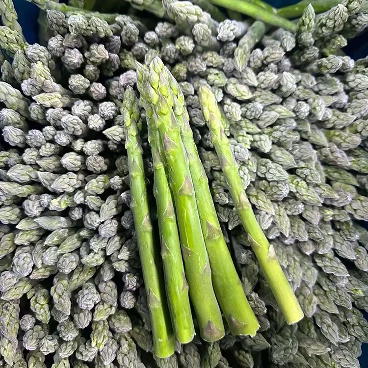 Xaiv Frozen Green Asparagus rau Kev Pabcuam Khoom Noj Zoo thiab Cov Khoom Muaj Khoom
