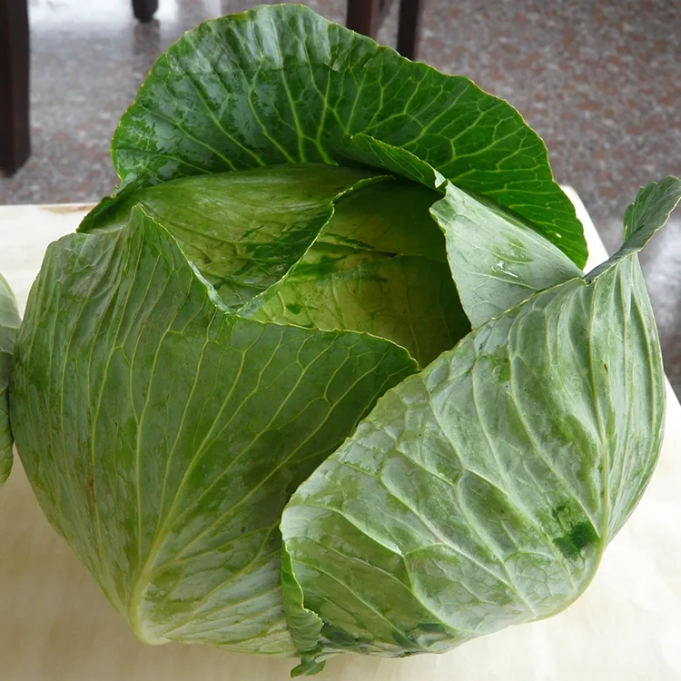 Cabbage tshiab