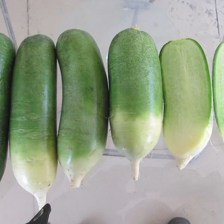 Crunchy Ntsuab Radish