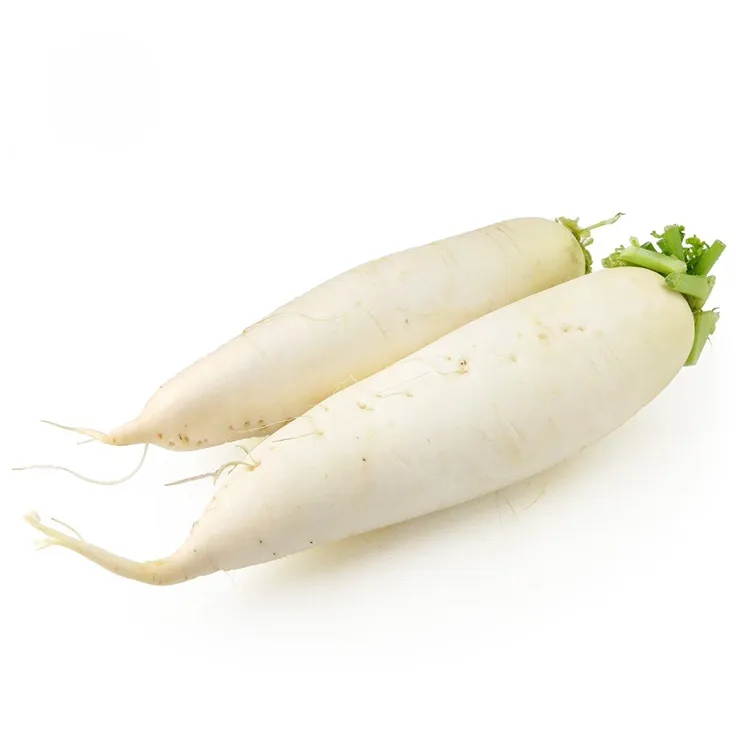 Crunchy Dawb radish
