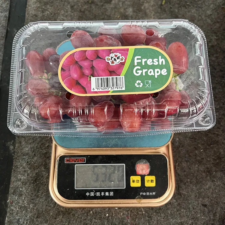 Export Qib Fresh Crimson Seedless Grapes