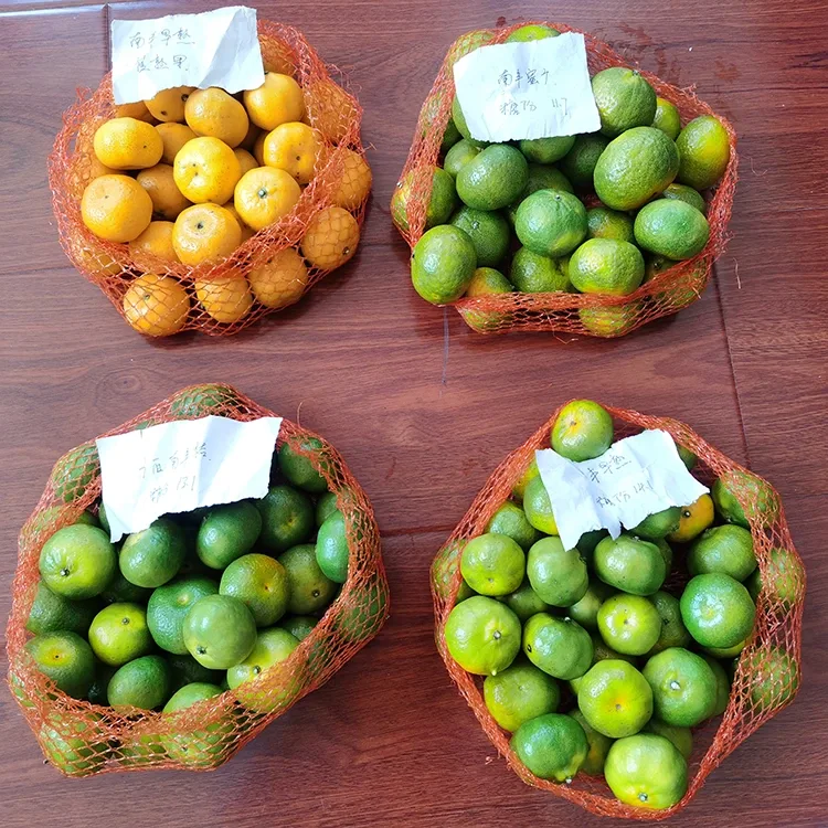 Fresh zib mu Mandarin