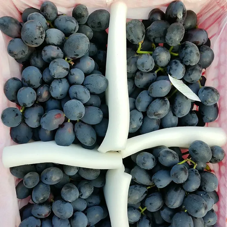 Freshly Harvested Dub Grapes