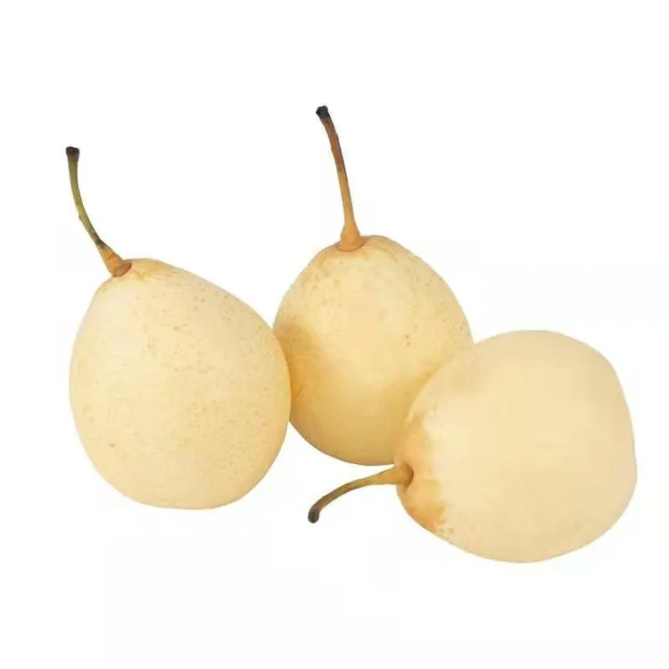 Freshly sau Ya Pear