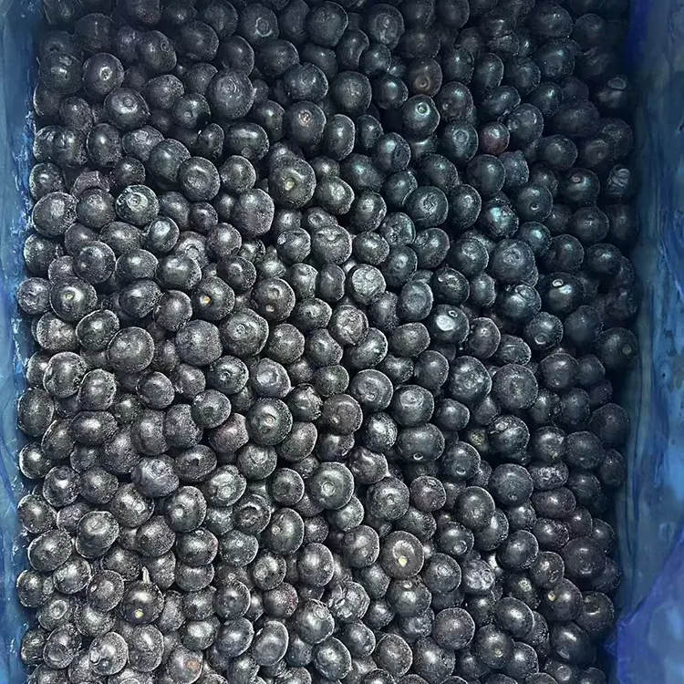 Frozen Blueberry hwm IQF Blueberries