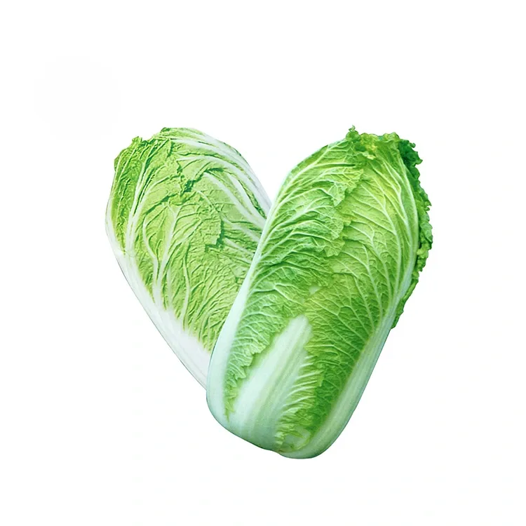 Garden Fresh Suav Cabbage