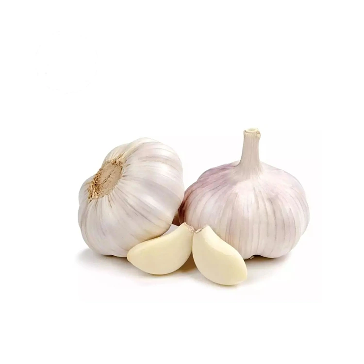 Premium Firm thiab Plump Cov Qej Dawb Dawb