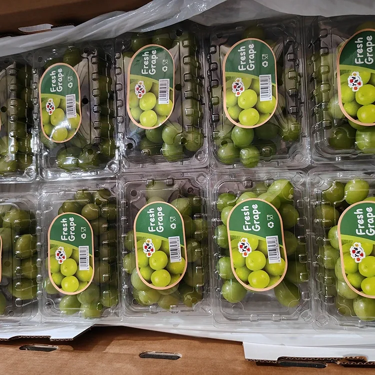 Xaiv Fresh Shine Muscat Grapes
